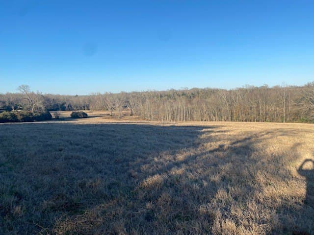 58.97 acres in Leon County - photo 17