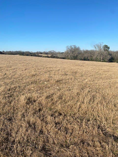 58.97 acres in Leon County - photo 14