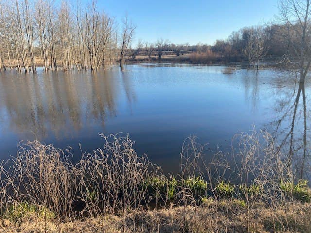 58.97 acres in Leon County - photo 18