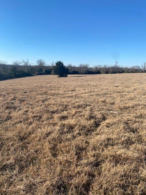 58.97 acres in Leon County - photo 12