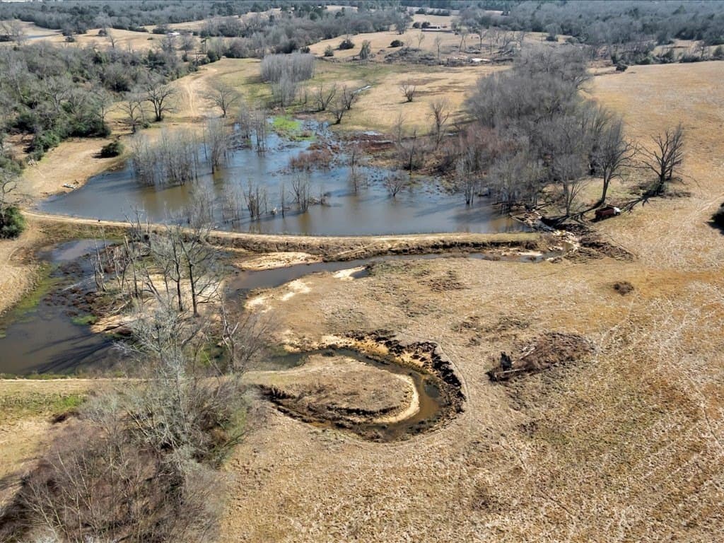58.97 acres in Leon County - photo 6