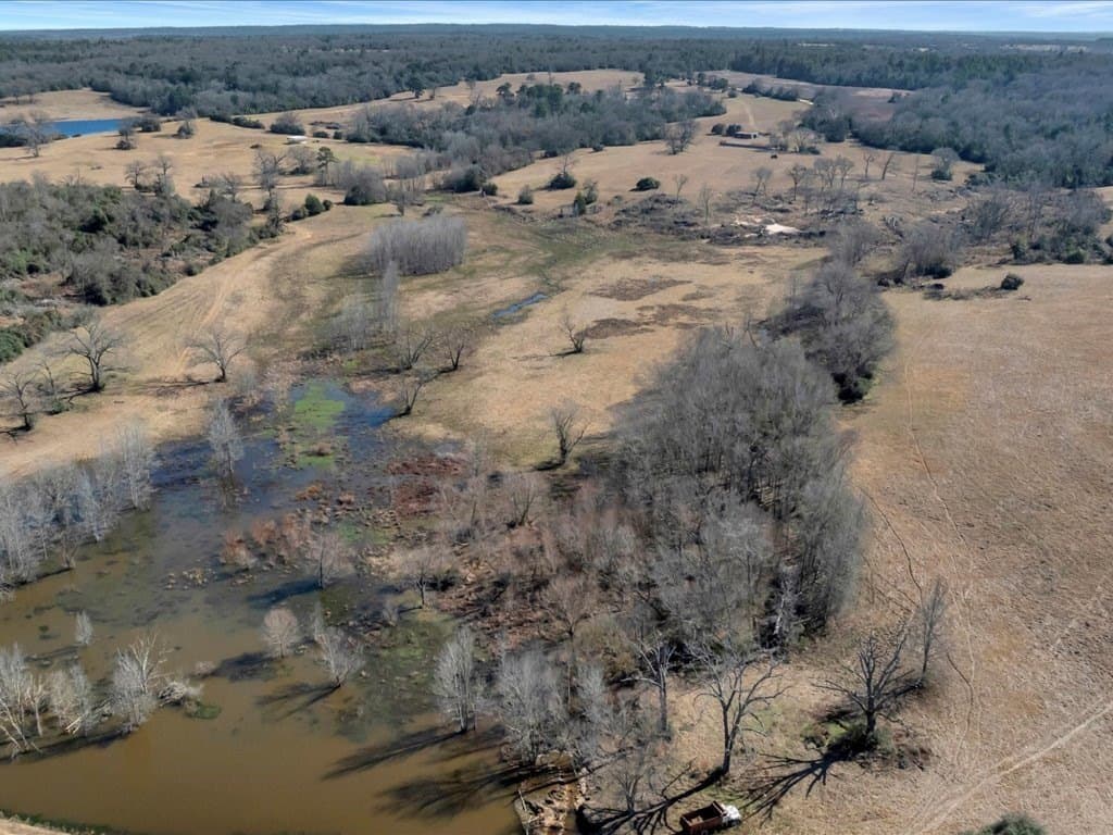 58.97 acres in Leon County - photo 3