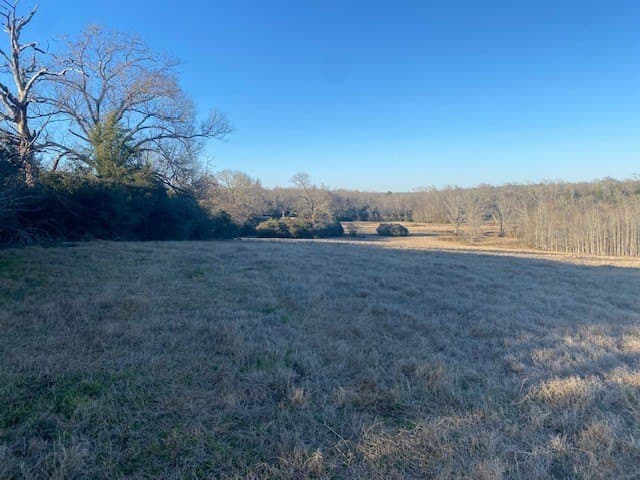 58.97 acres in Leon County - photo 16