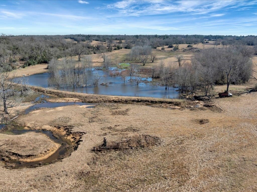 58.97 acres in Leon County - photo 7