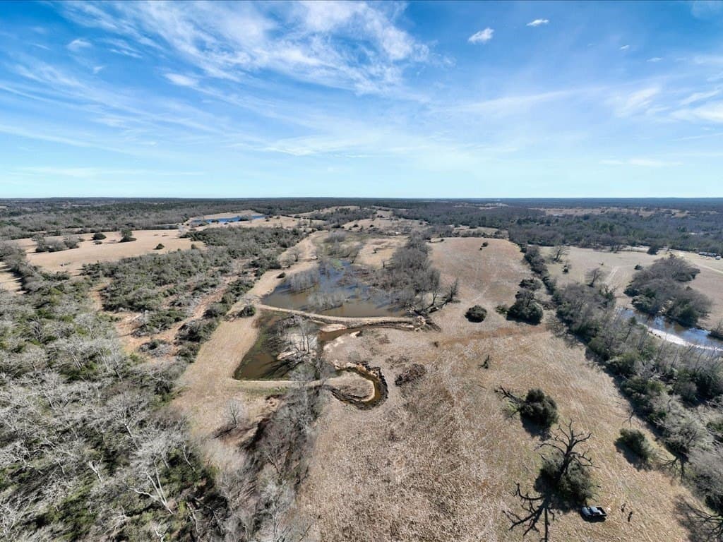 58.97 acres in Leon County - photo 5