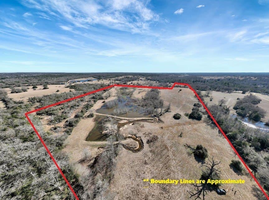 58.97 acres in Leon County - photo 4