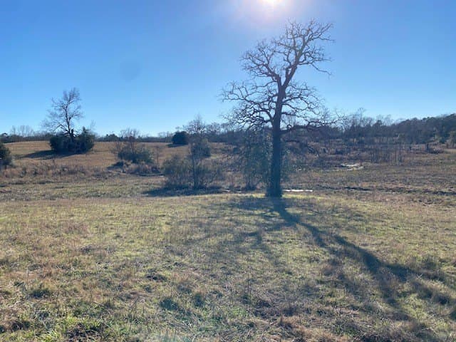 58.97 acres in Leon County - photo 9