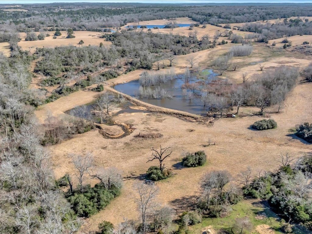 58.97 acres in Leon County