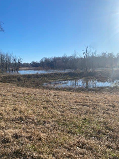 58.97 acres in Leon County - photo 11
