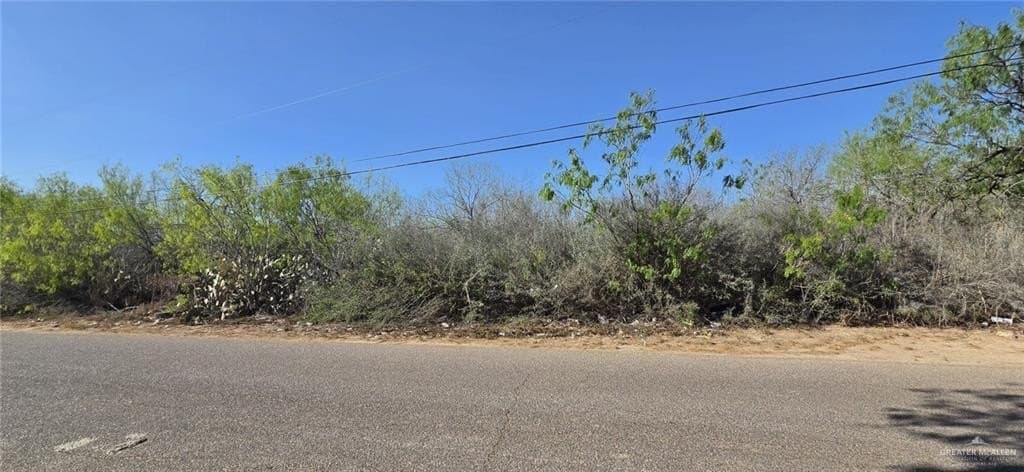 0.96 acres in Hidalgo County gallery image 3