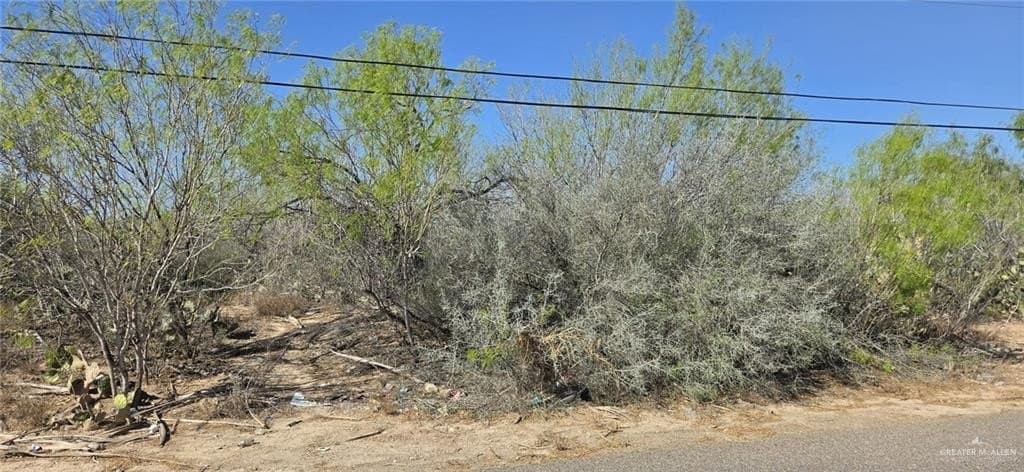 0.96 acres in Hidalgo County gallery image 2