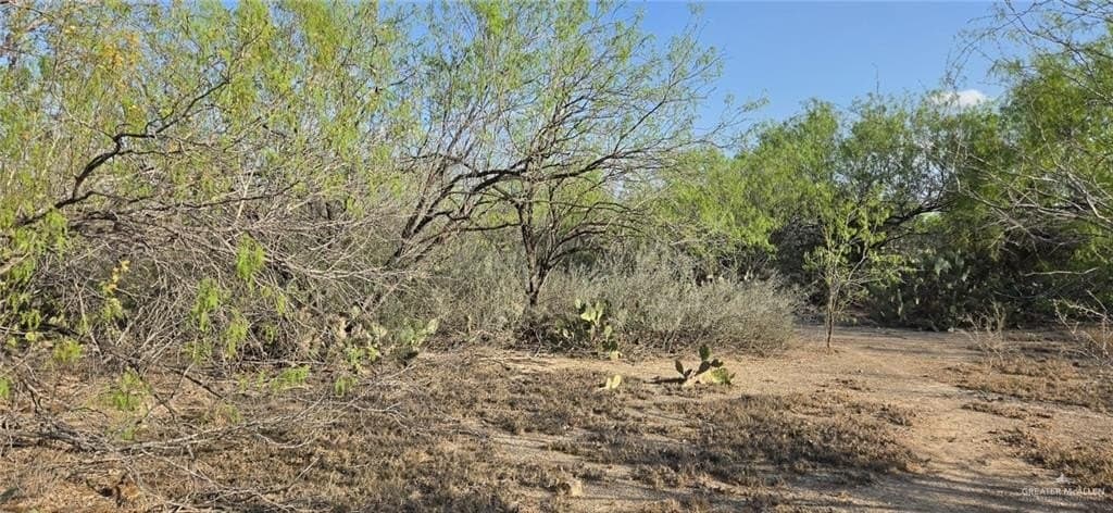 0.96 acres in Hidalgo County gallery image 4