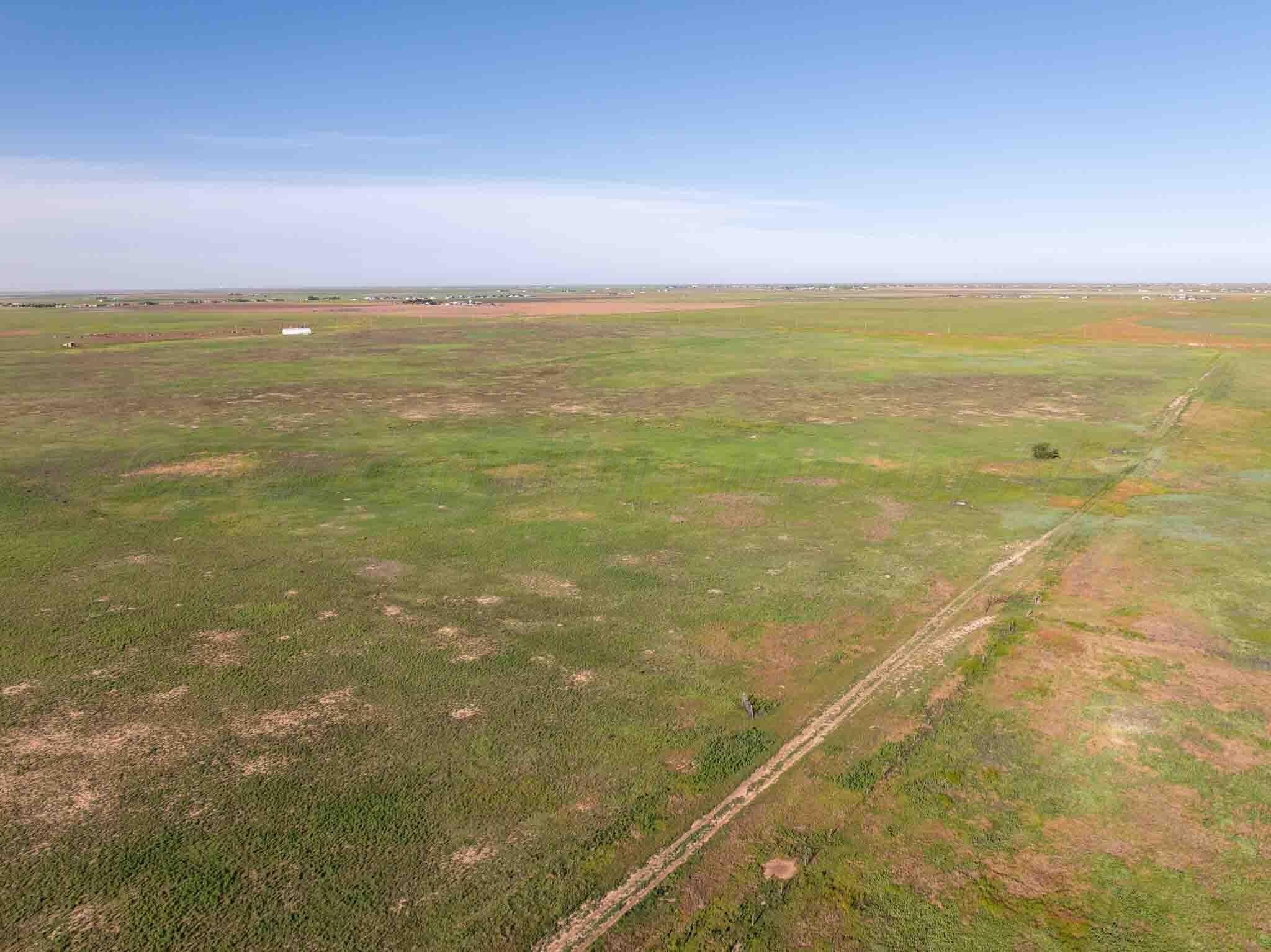 20 acres in Randall County gallery image 2