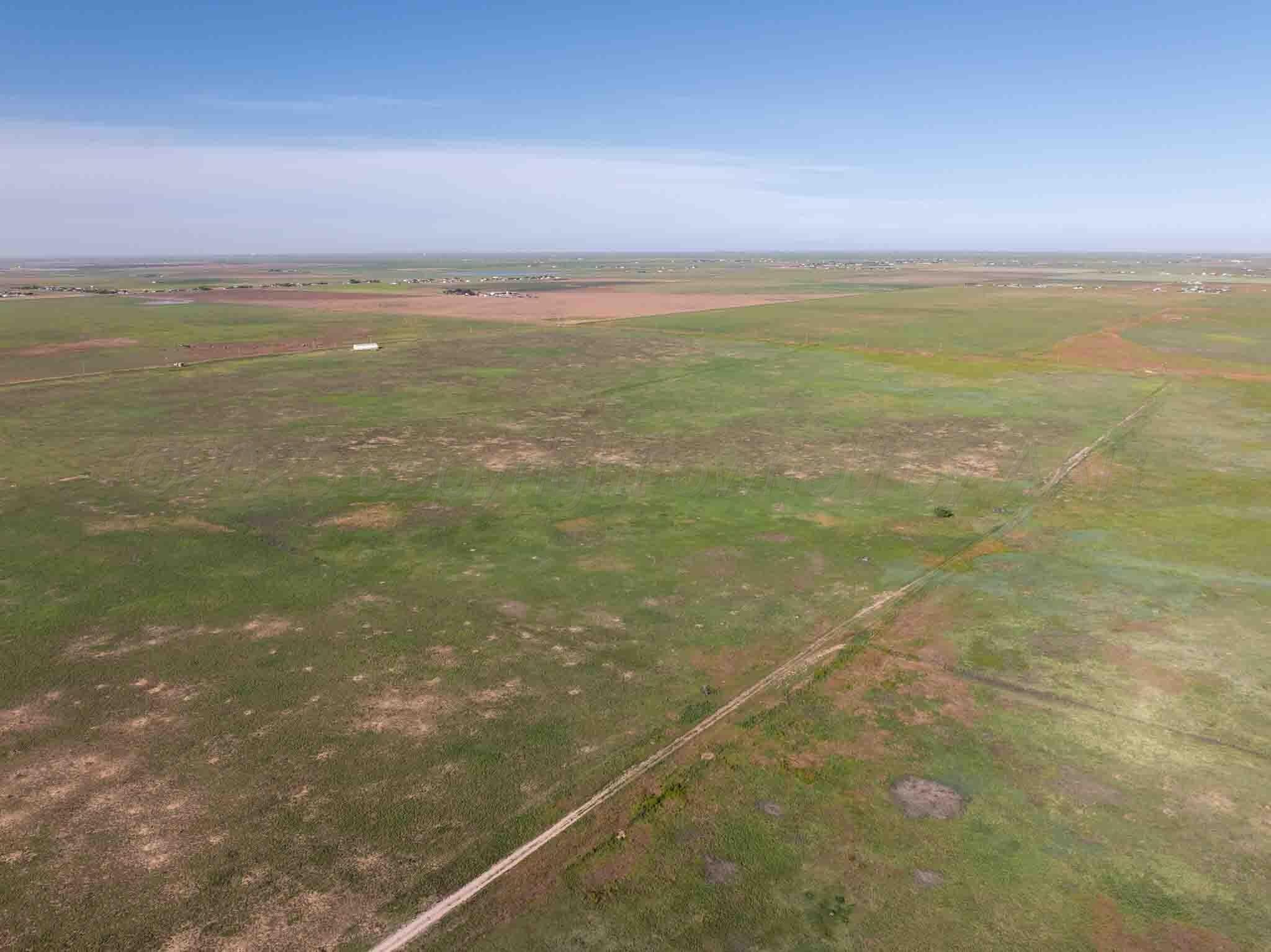 20 acres in Randall County gallery image 3