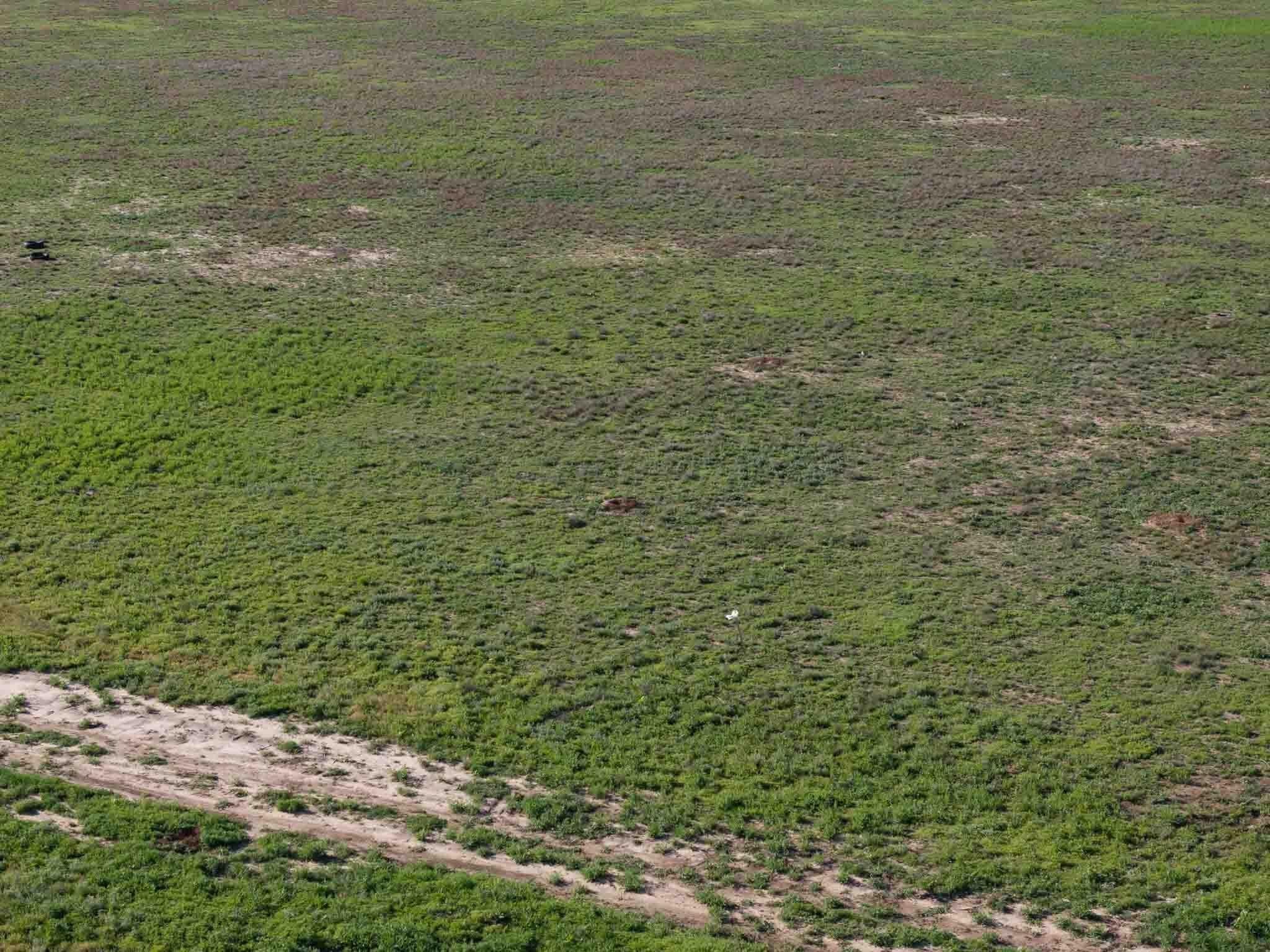 20 acres in Randall County featured view