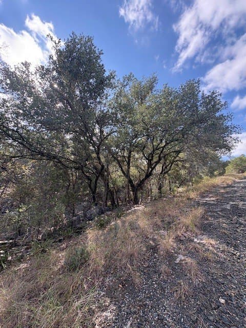 0.27 acres in Burnet County gallery image 4