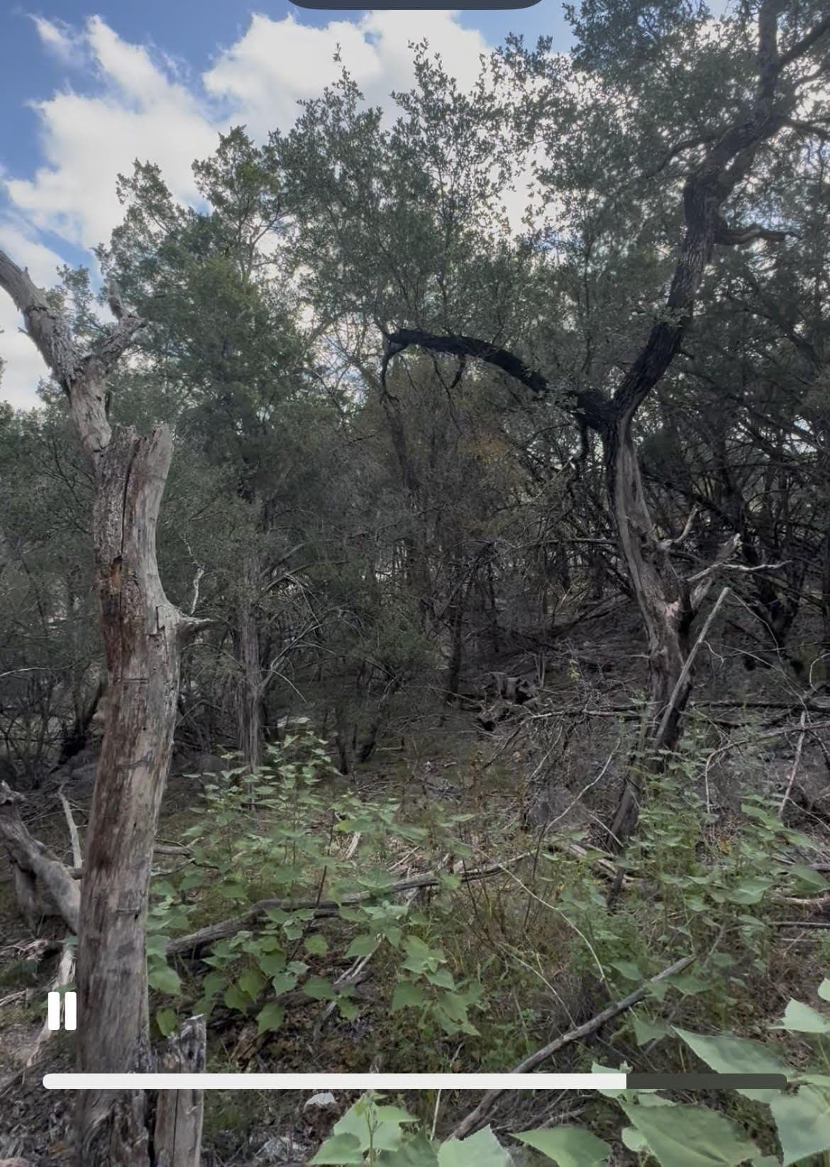 0.27 acres in Burnet County featured view