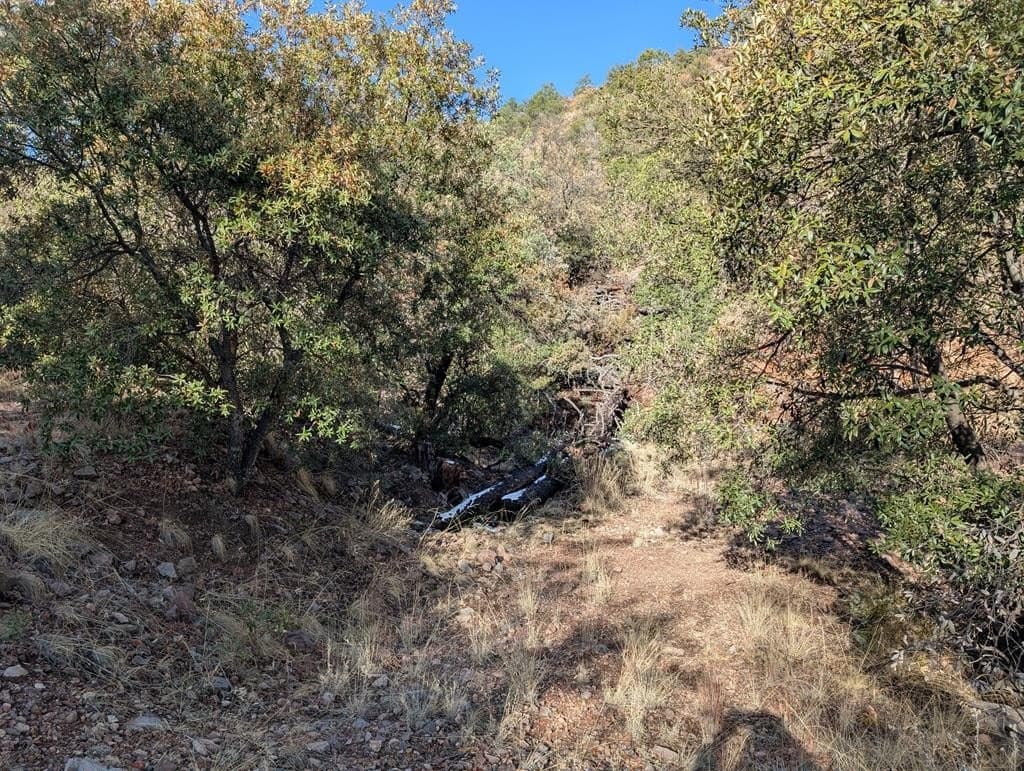 15.31 acres in Jeff Davis County