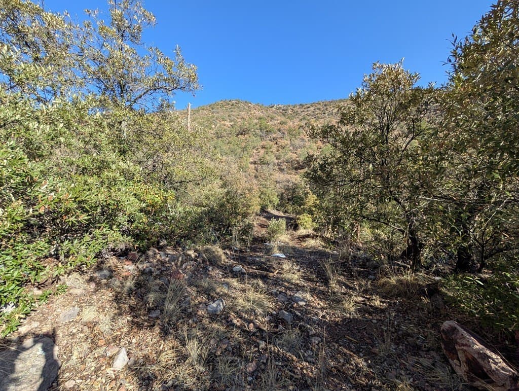 15.31 acres in Jeff Davis County gallery image 2