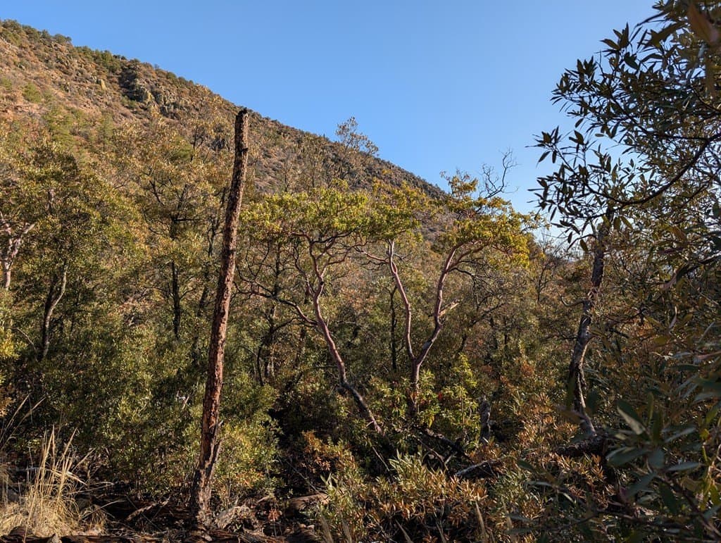 15.31 acres in Jeff Davis County featured view