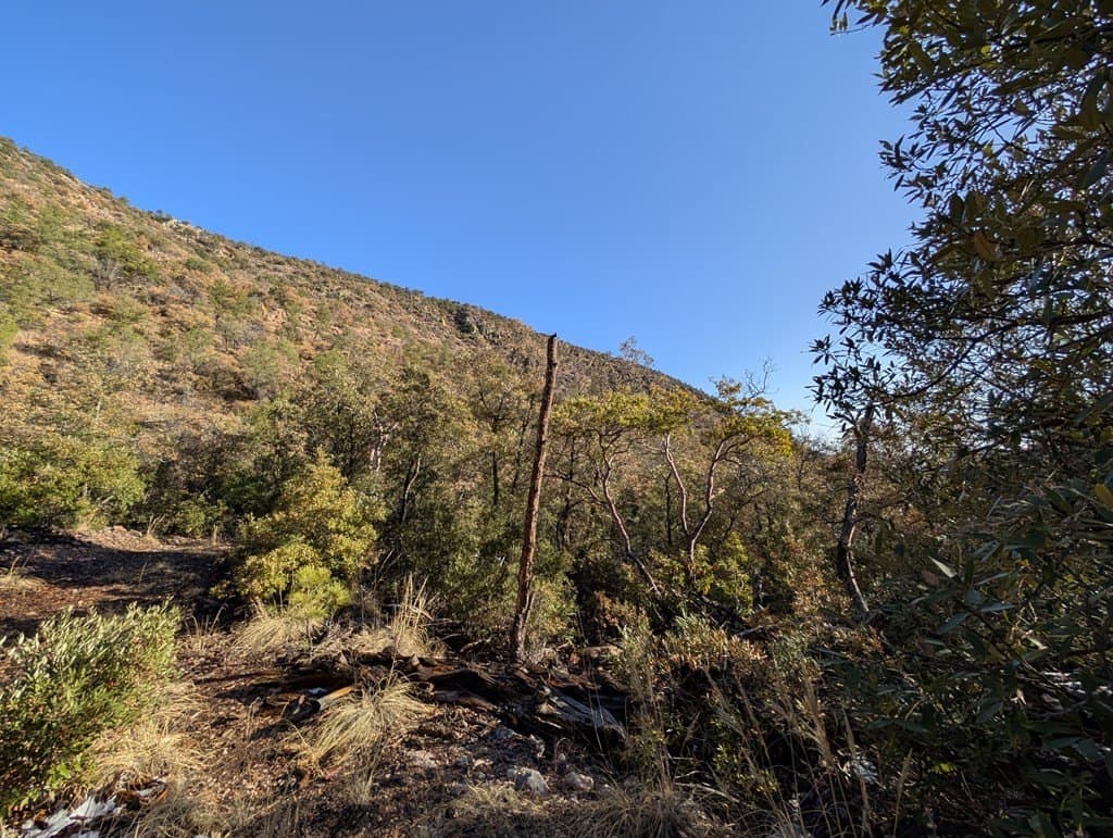 15.31 acres in Jeff Davis County gallery image 3