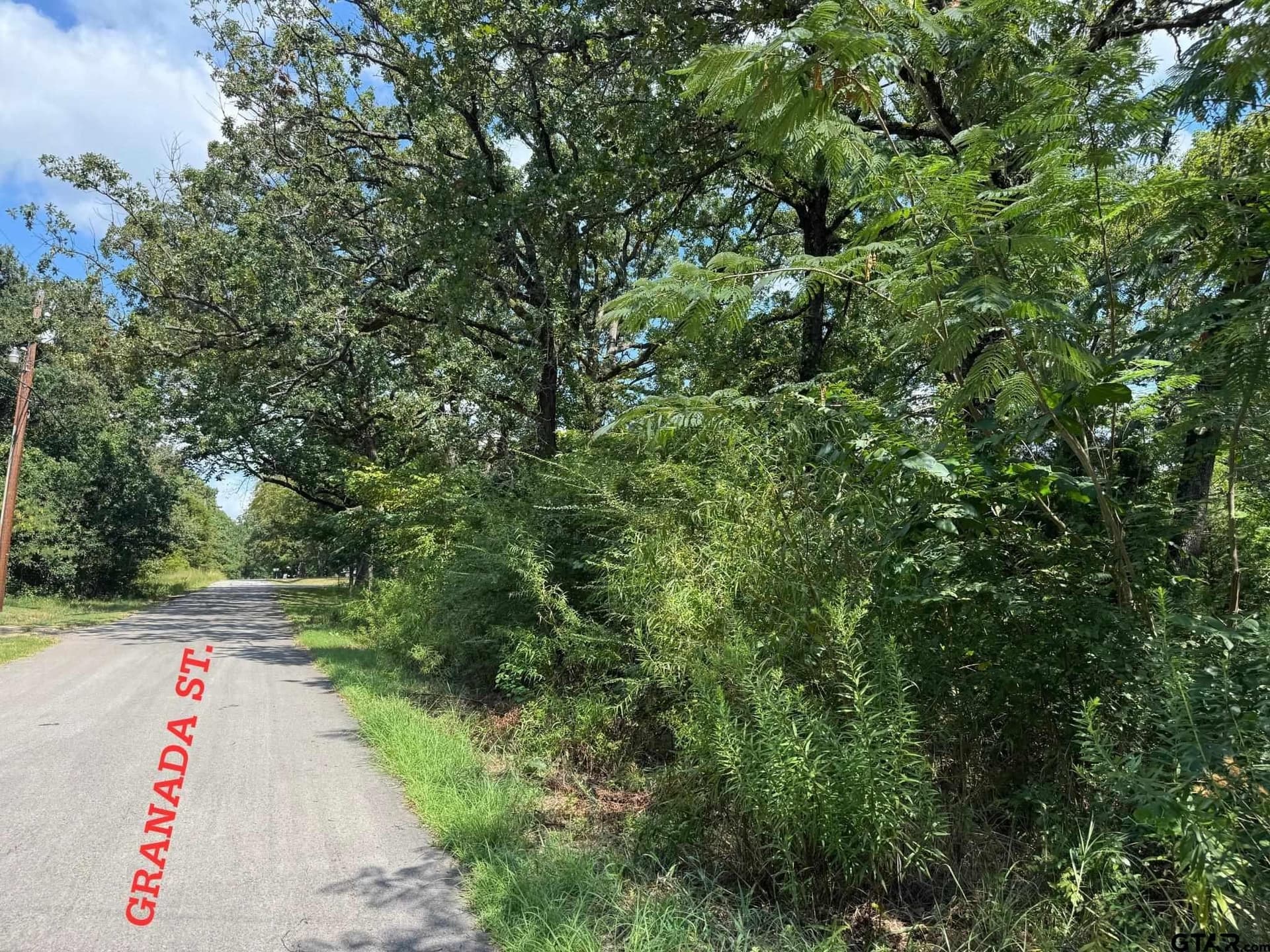 0.14 acres in Henderson County - photo 2