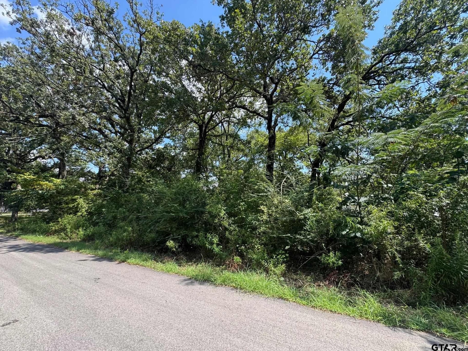 0.14 acres in Henderson County - photo 4