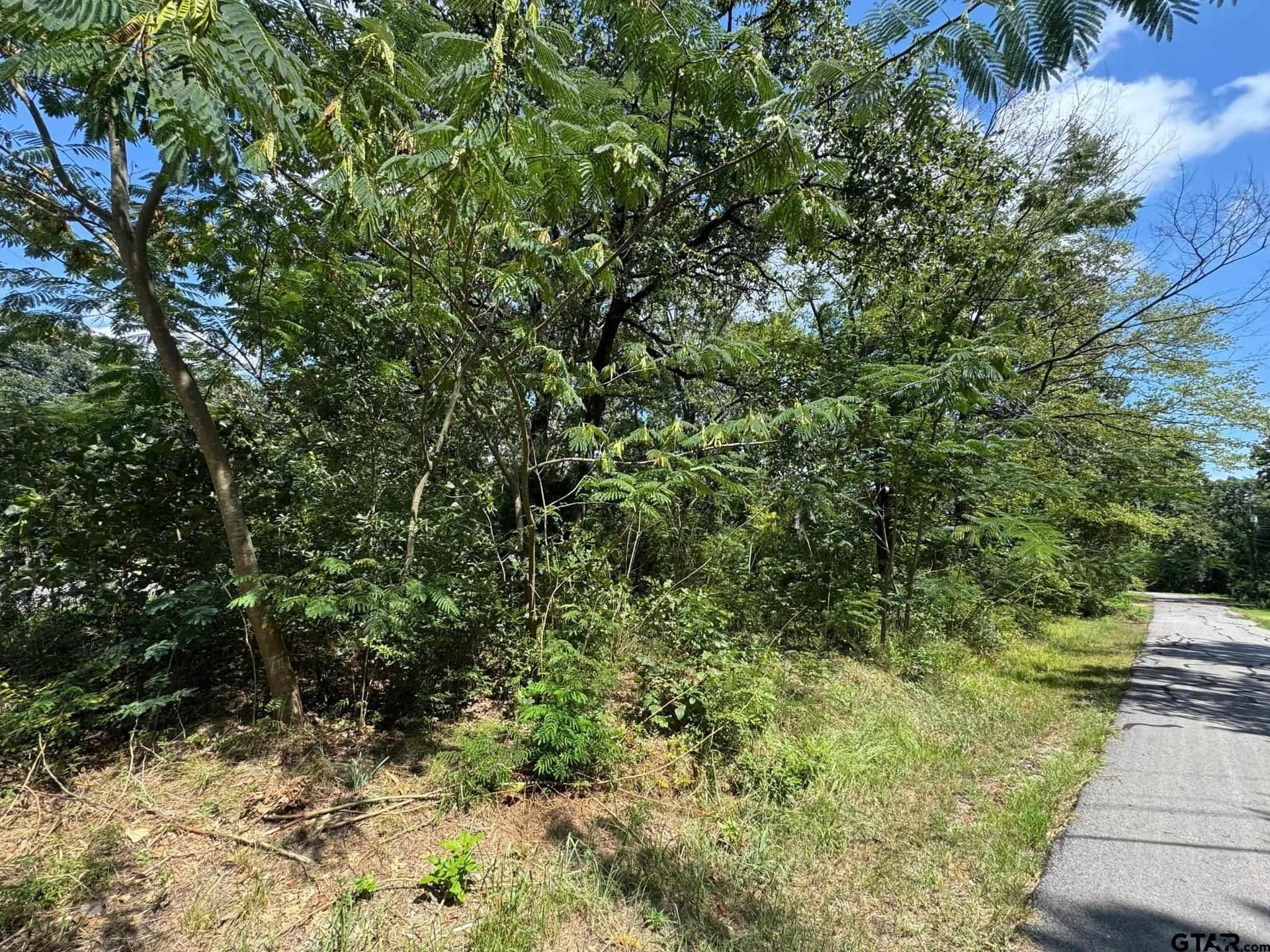 0.14 acres in Henderson County - photo 3