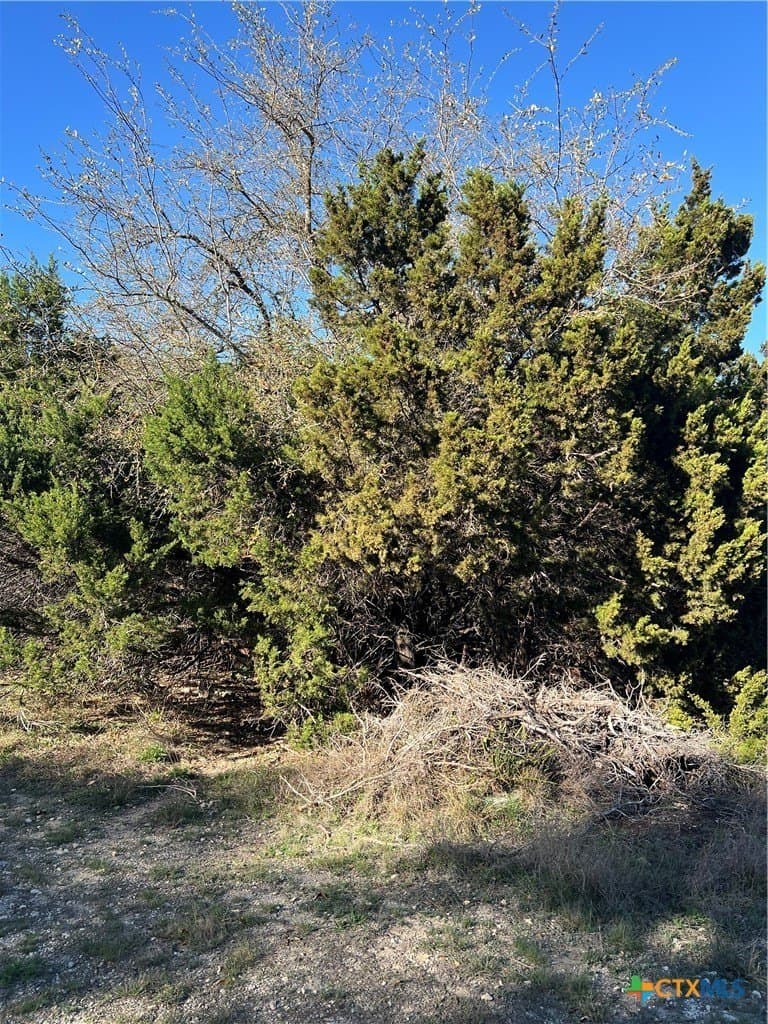 0.15 acres in Comal County gallery image 3