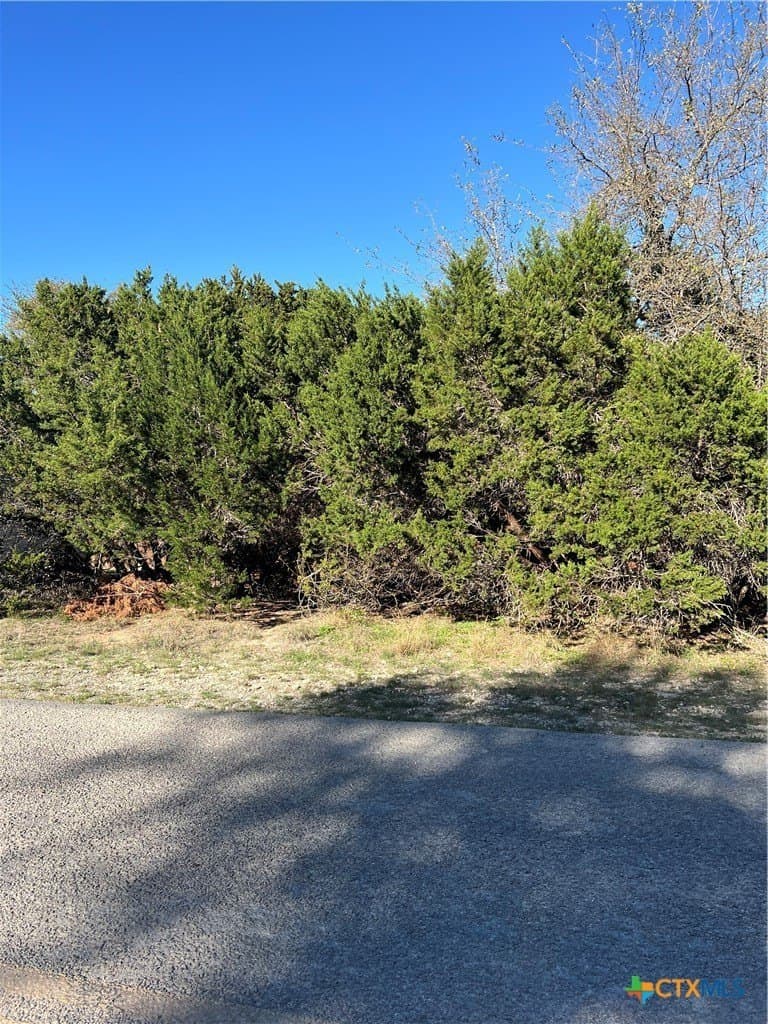 0.15 acres in Comal County gallery image 2