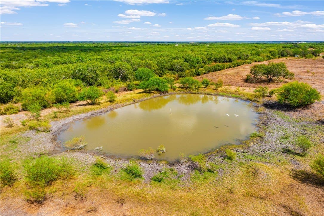 9 acres in Nueces County - photo 2
