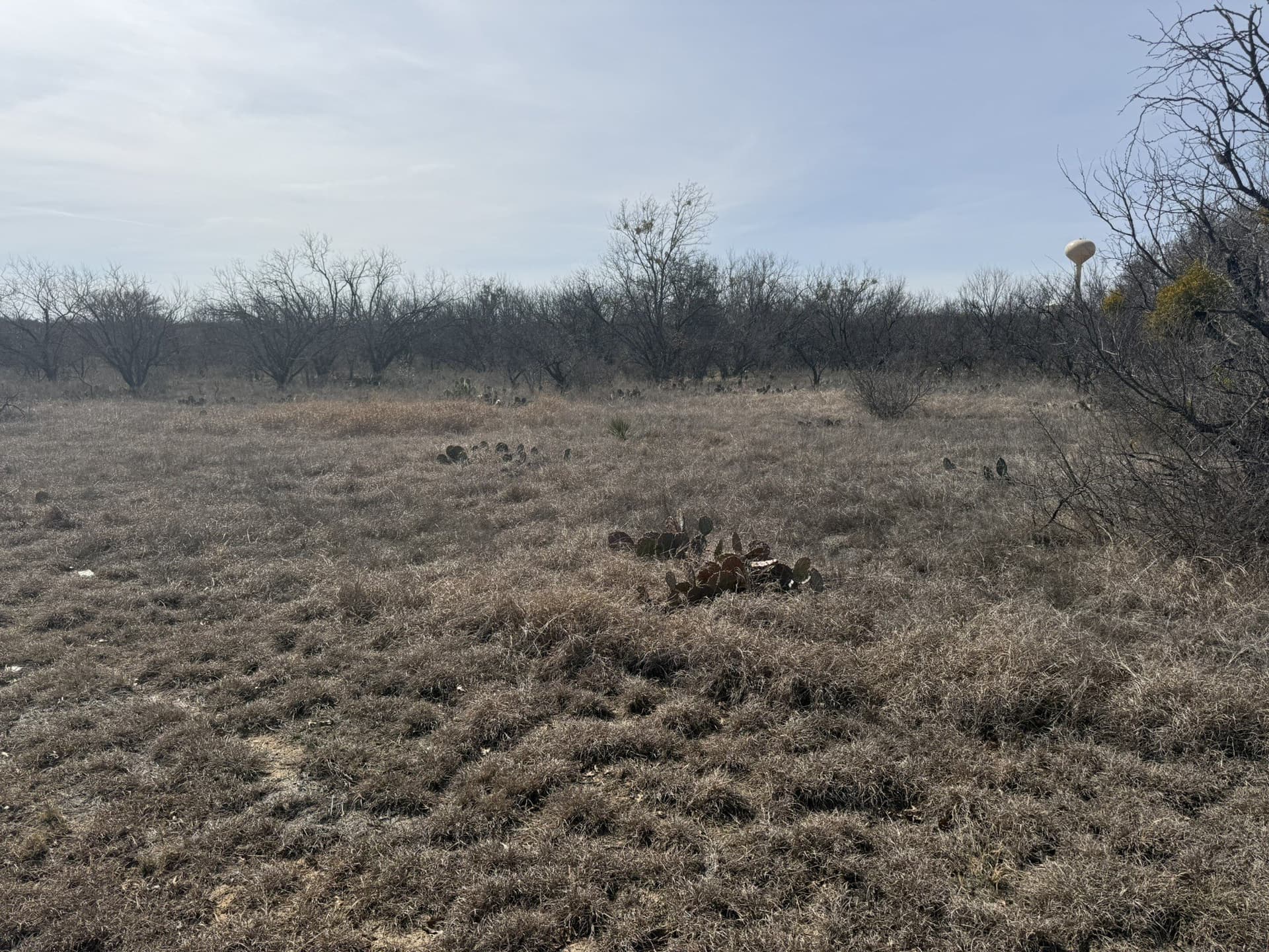 1.75 acres in Brown County - photo 11