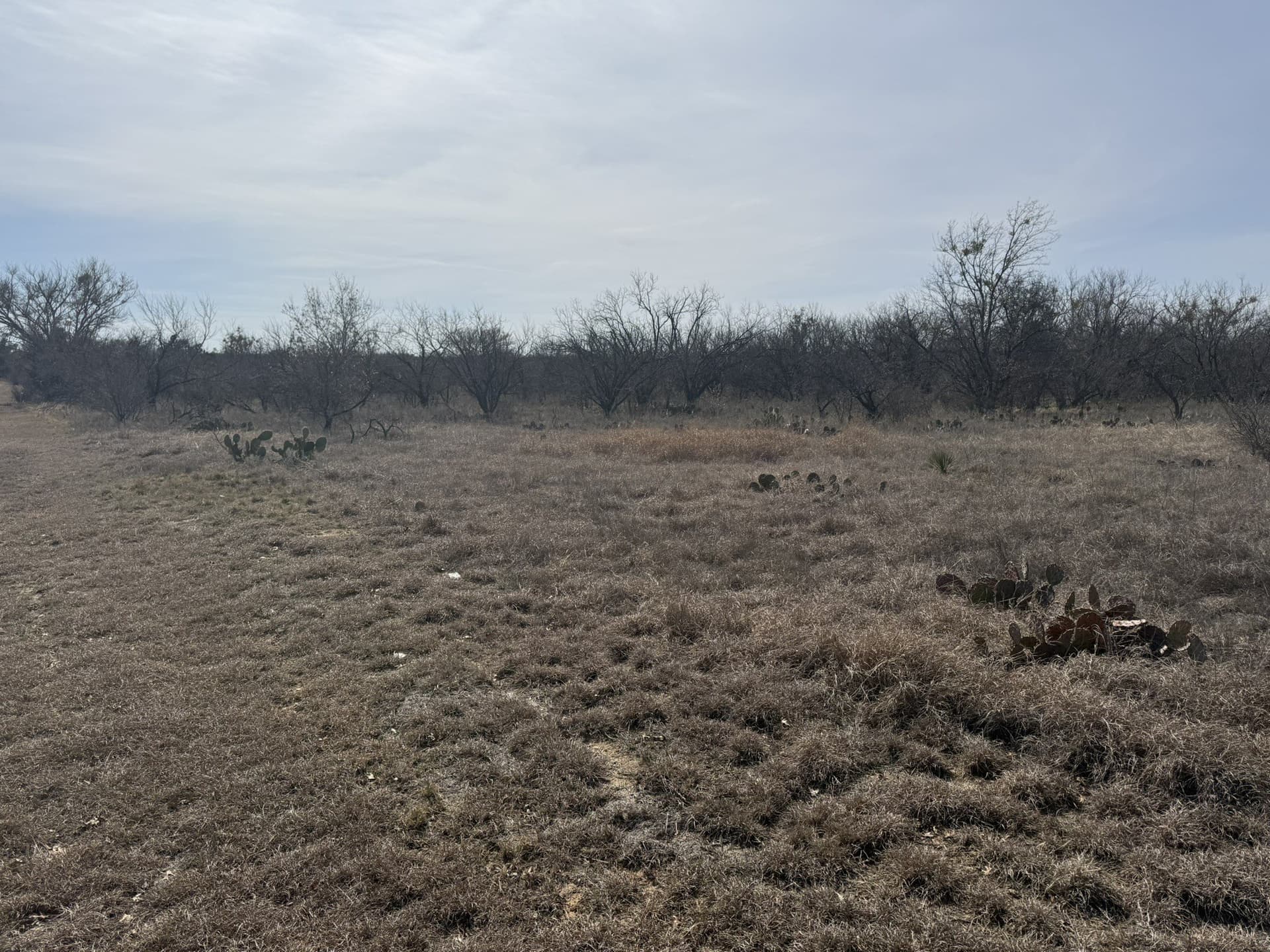 1.75 acres in Brown County - photo 12