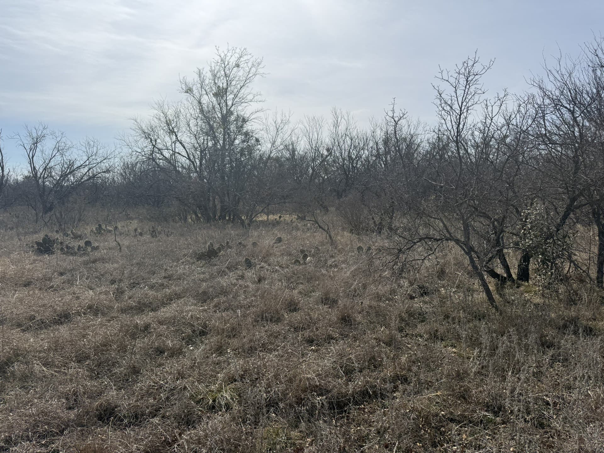 1.75 acres in Brown County - photo 17