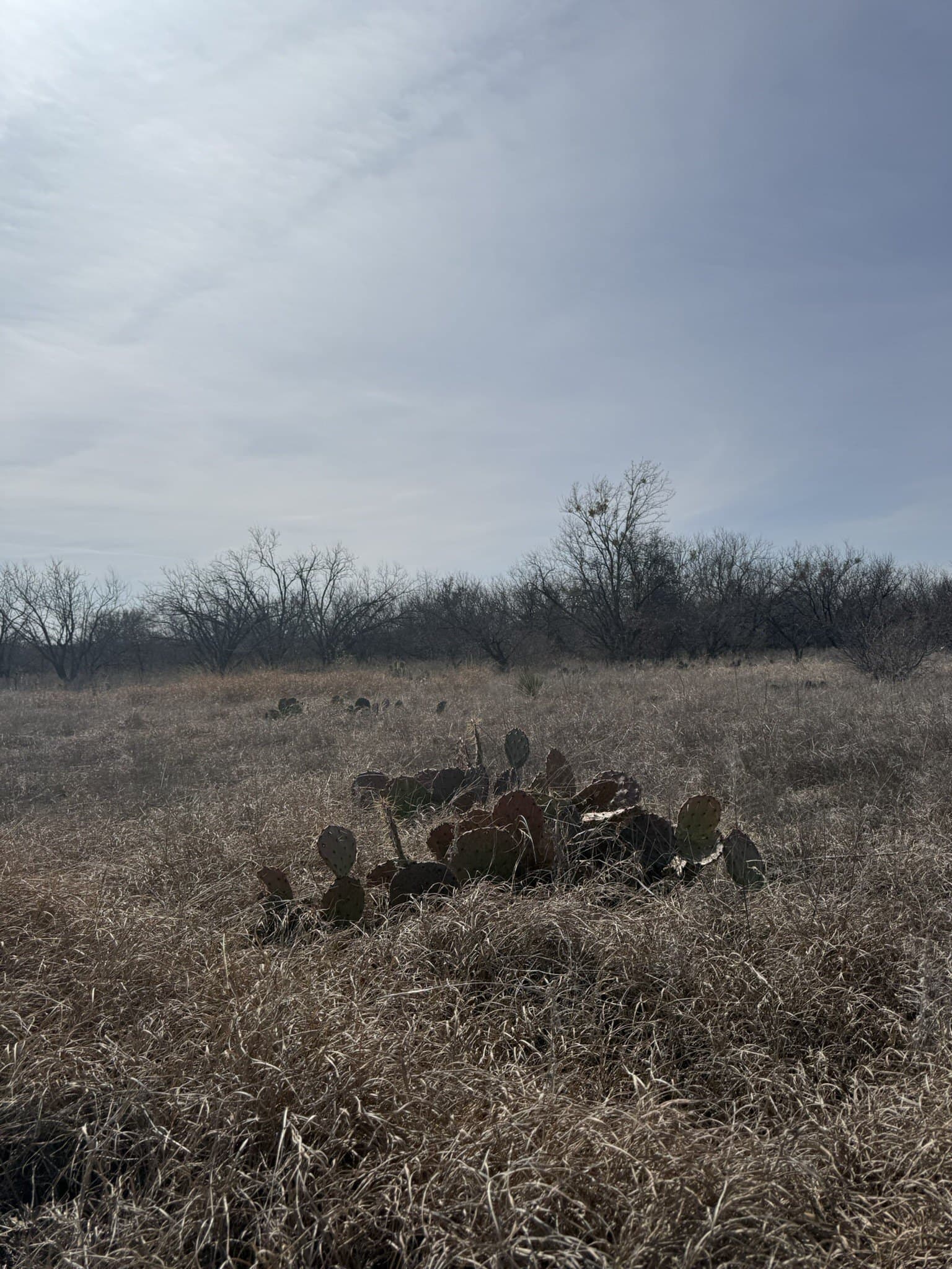 1.75 acres in Brown County - photo 13