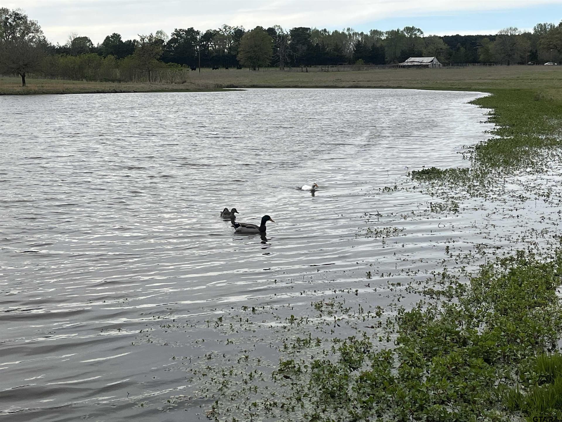 112 acres in Cherokee County - photo 43
