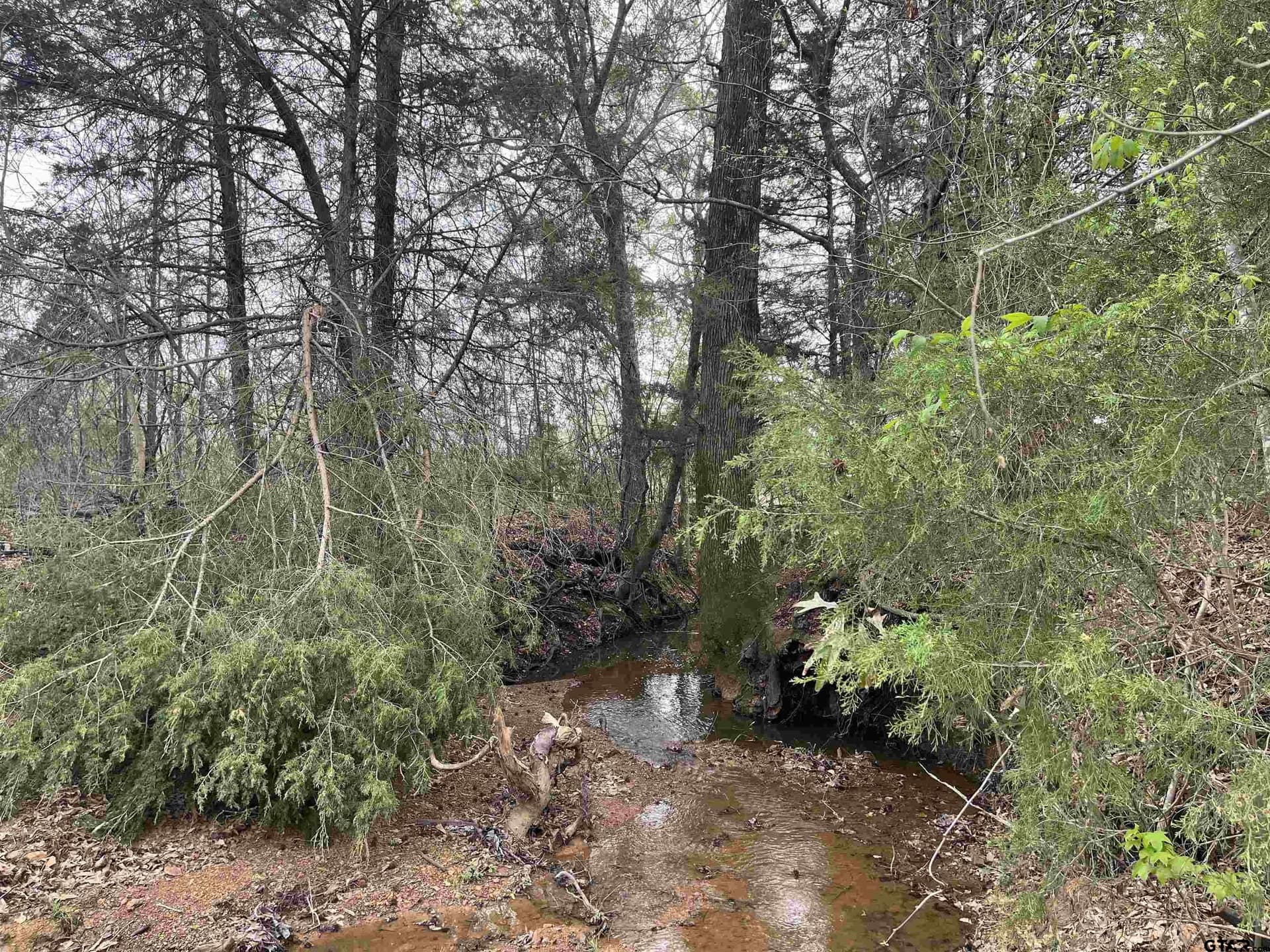 112 acres in Cherokee County - photo 48