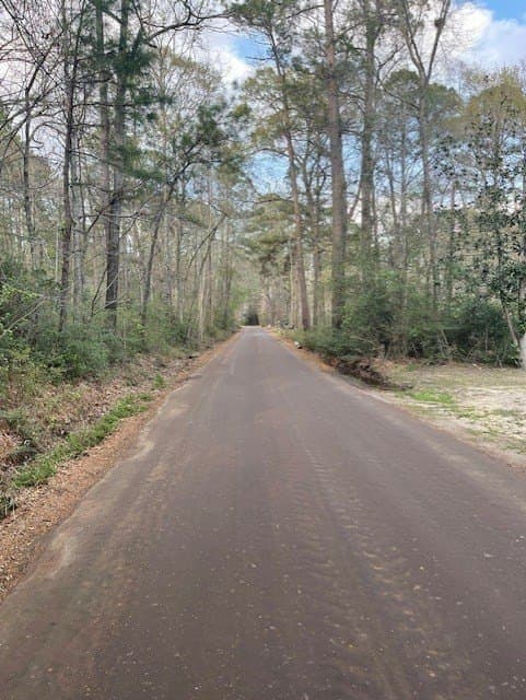 25 acres in Texas County gallery image 4