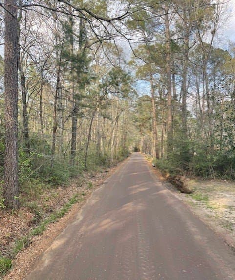 25 acres in Texas County gallery image 3