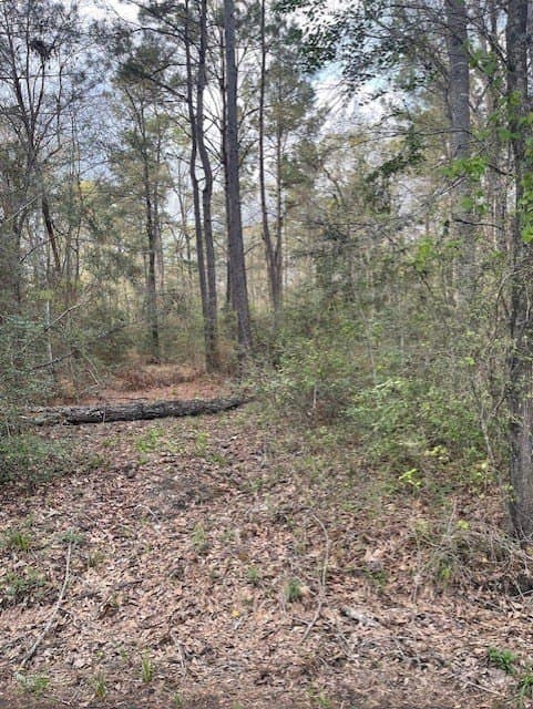 25 acres in Texas County gallery image 2