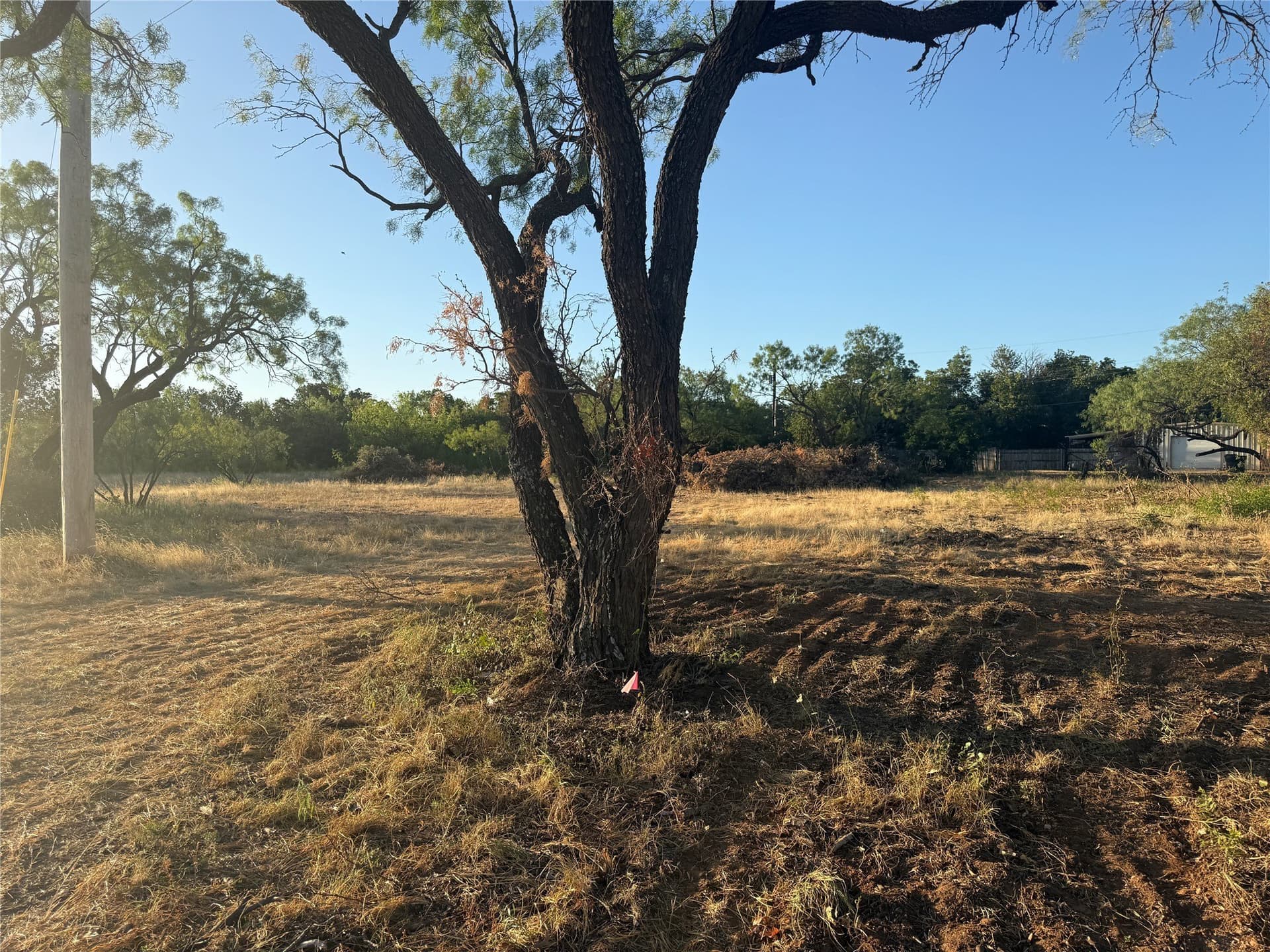 2.45 acres in Taylor County - photo 14