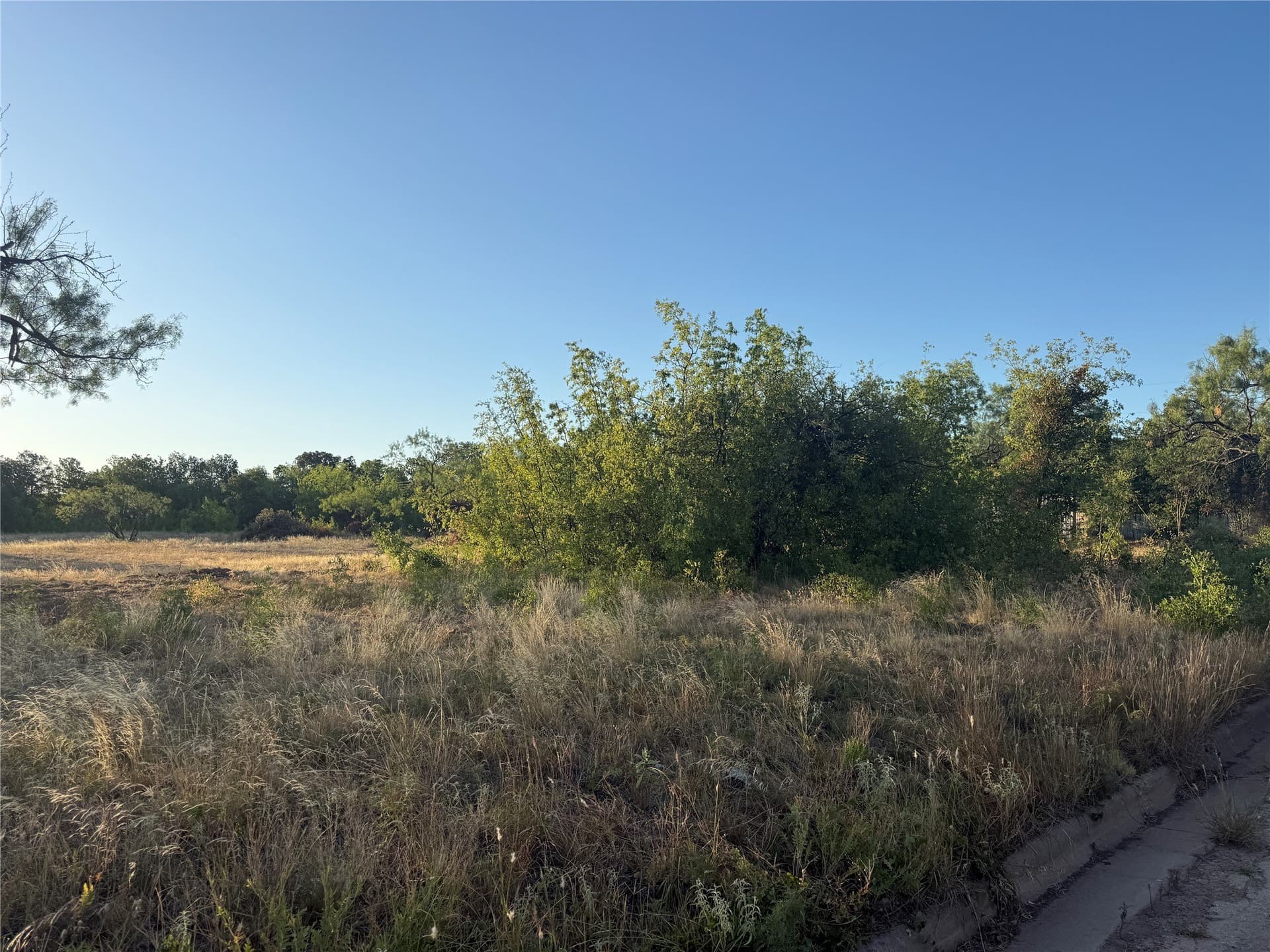 2.45 acres in Taylor County - photo 11