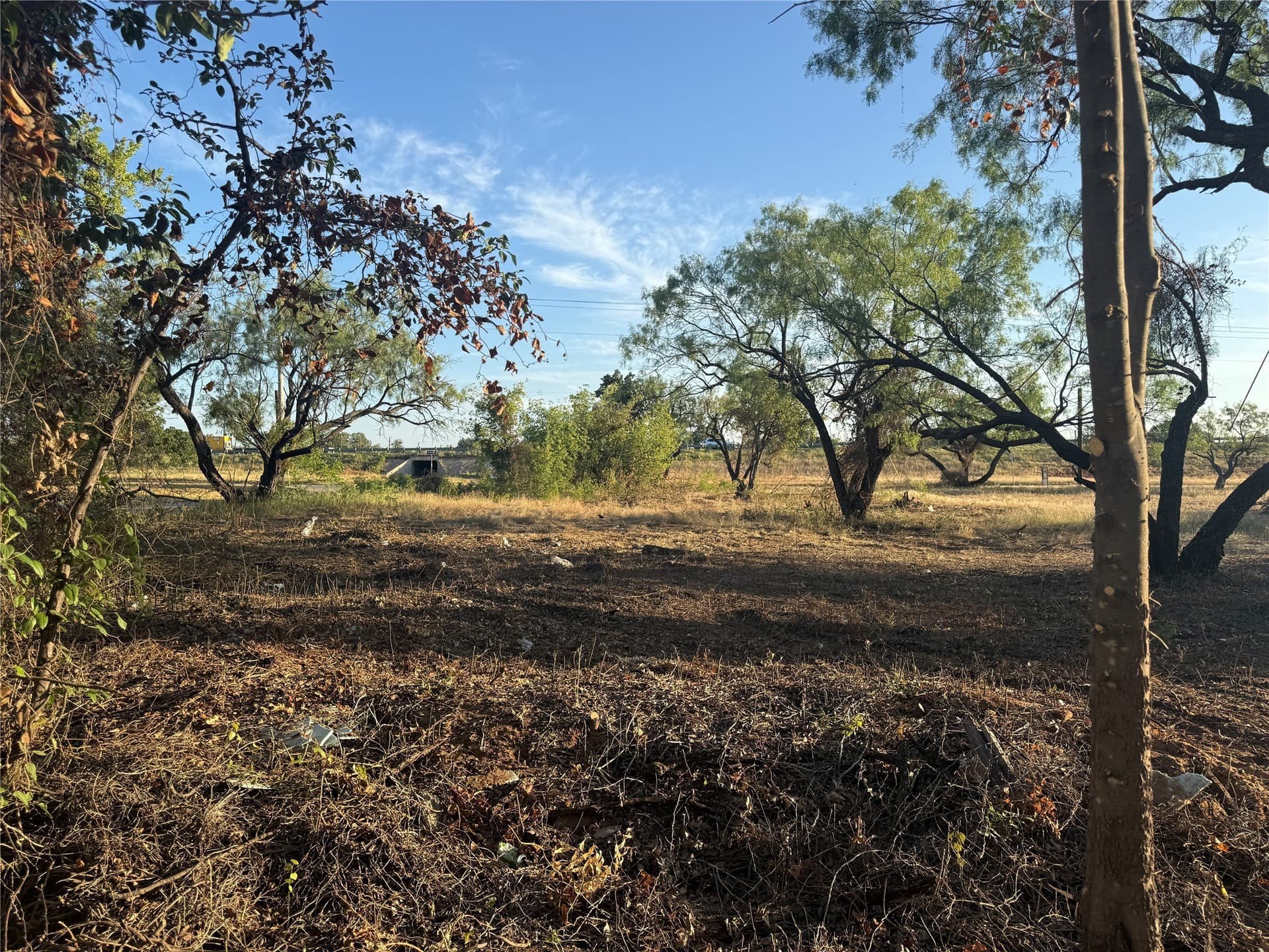 2.45 acres in Taylor County - photo 16