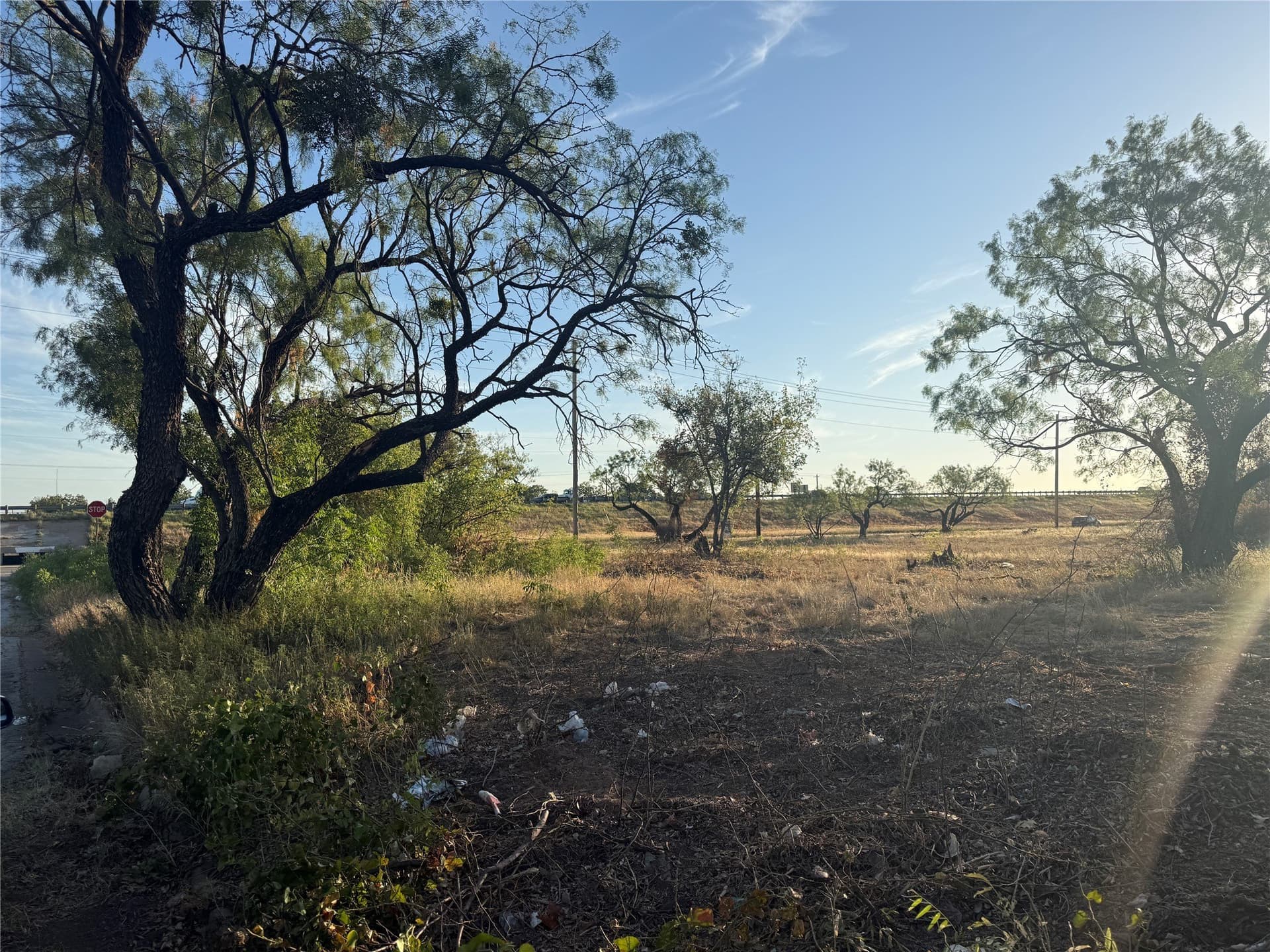 2.45 acres in Taylor County - photo 15
