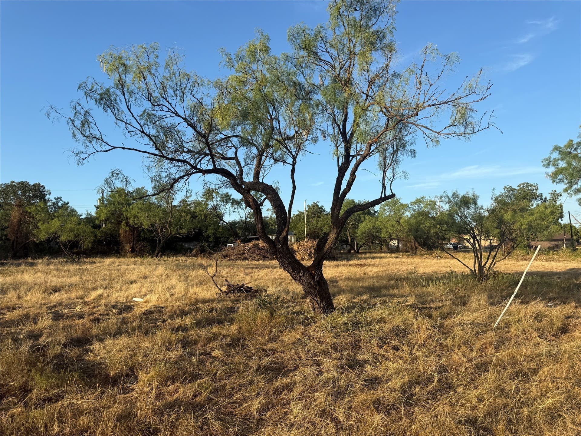 2.45 acres in Taylor County - photo 13