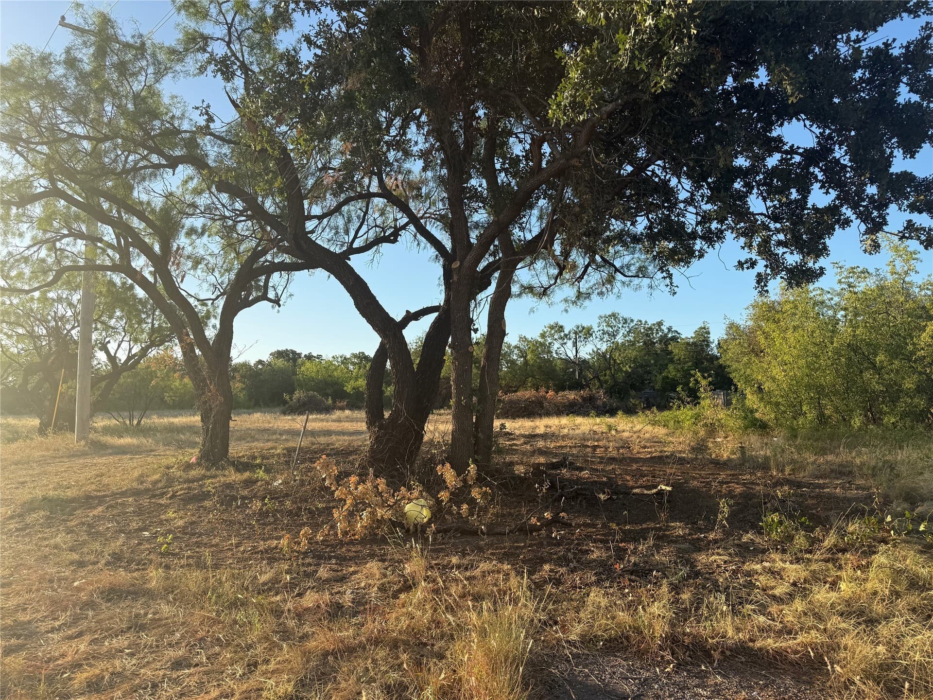 2.45 acres in Taylor County - photo 10