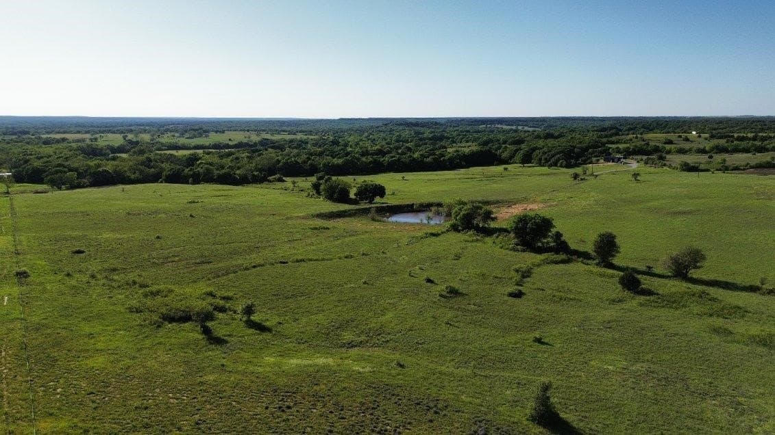 12.51 acres in Wise County gallery image 4