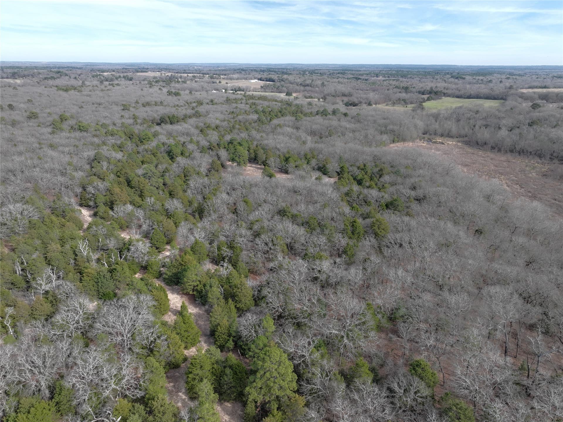 232.98 acres in Wood County - photo 25