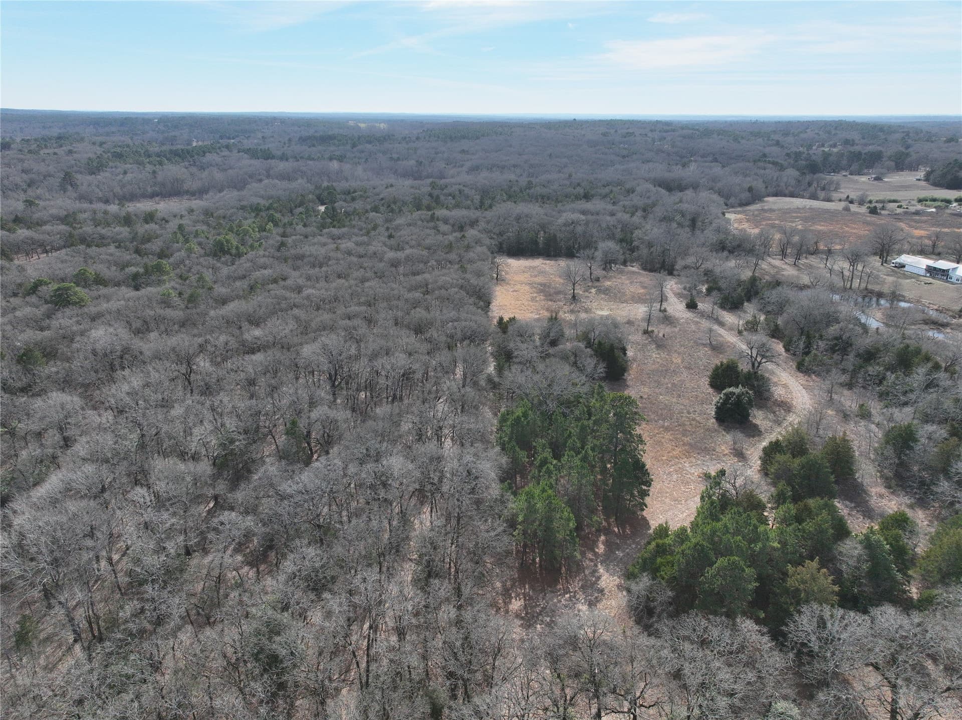 232.98 acres in Wood County - photo 24