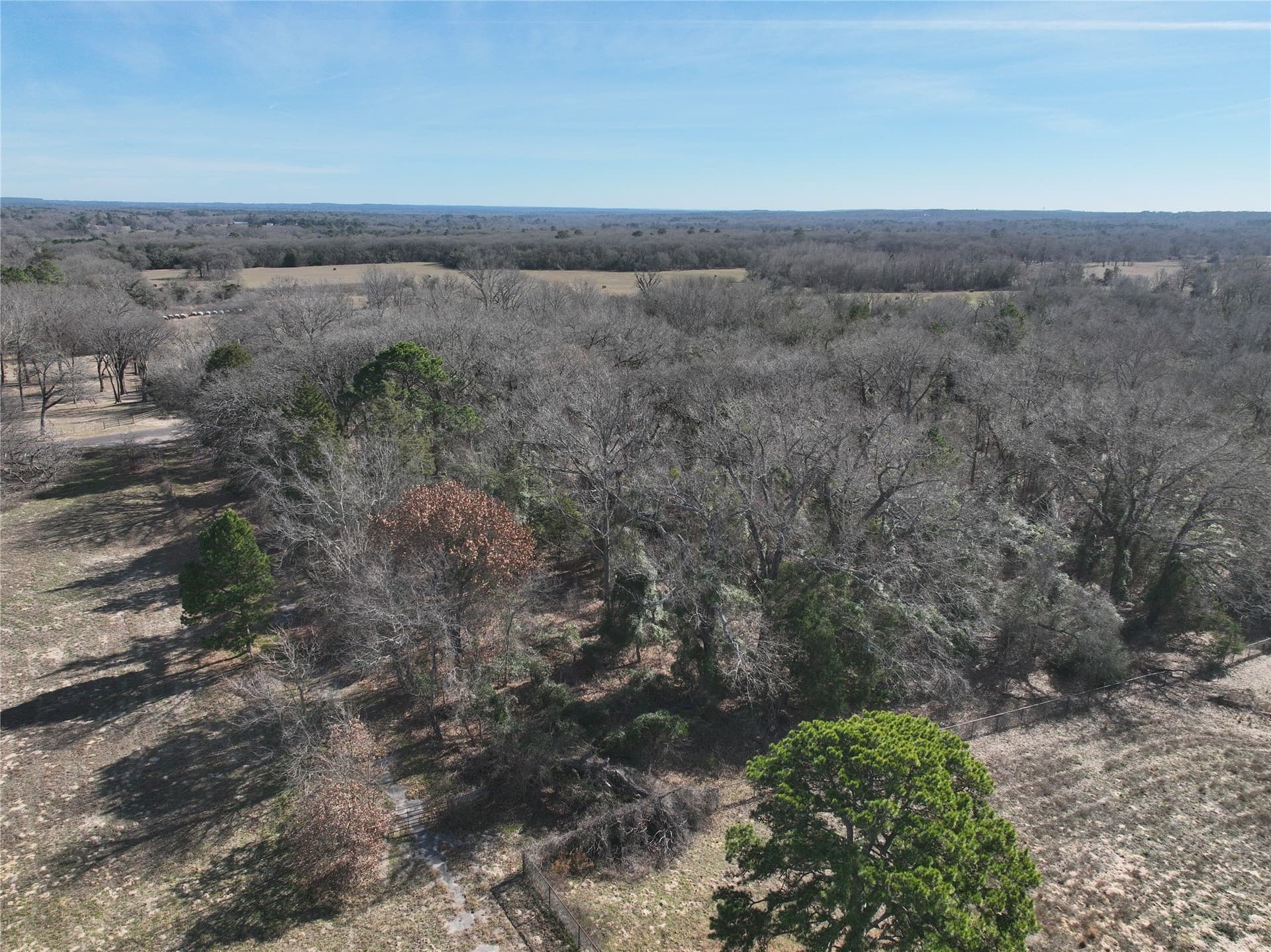 232.98 acres in Wood County - photo 15